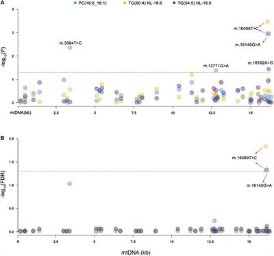 Associations of Mitochondrial Variants With Lipidomic Traits in a Chinese Cohort With Coronary Artery Disease